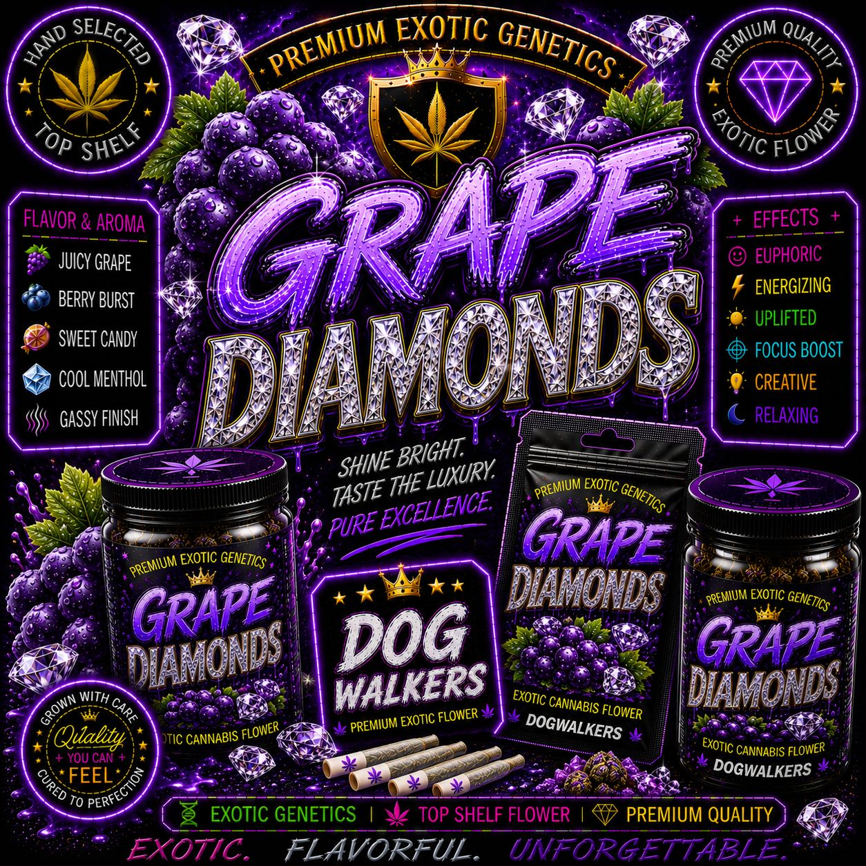 Dog Walker x 2 | Grape Diamonds | Indoor
