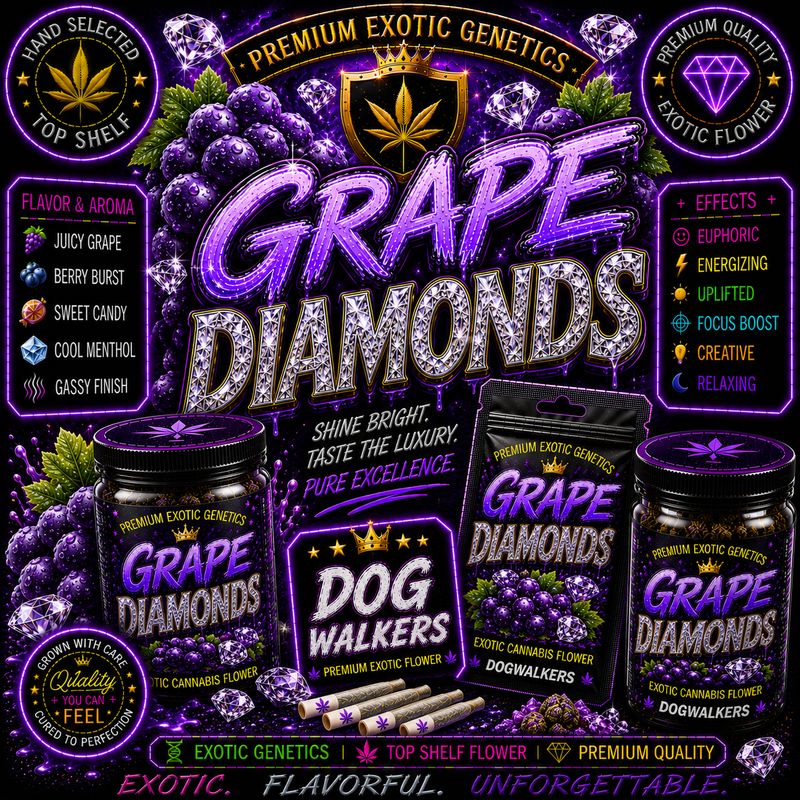 Dog Walker x 2 | Grape Diamonds | Indoor