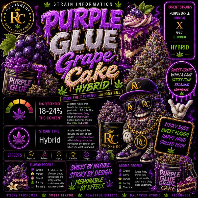 1G | Purple Glue Grape Cake | Outdoor