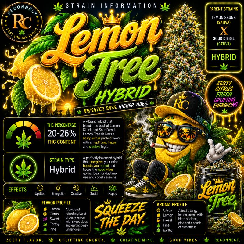 Pre  Roll x2 | Lemon Tree | Greenhouse