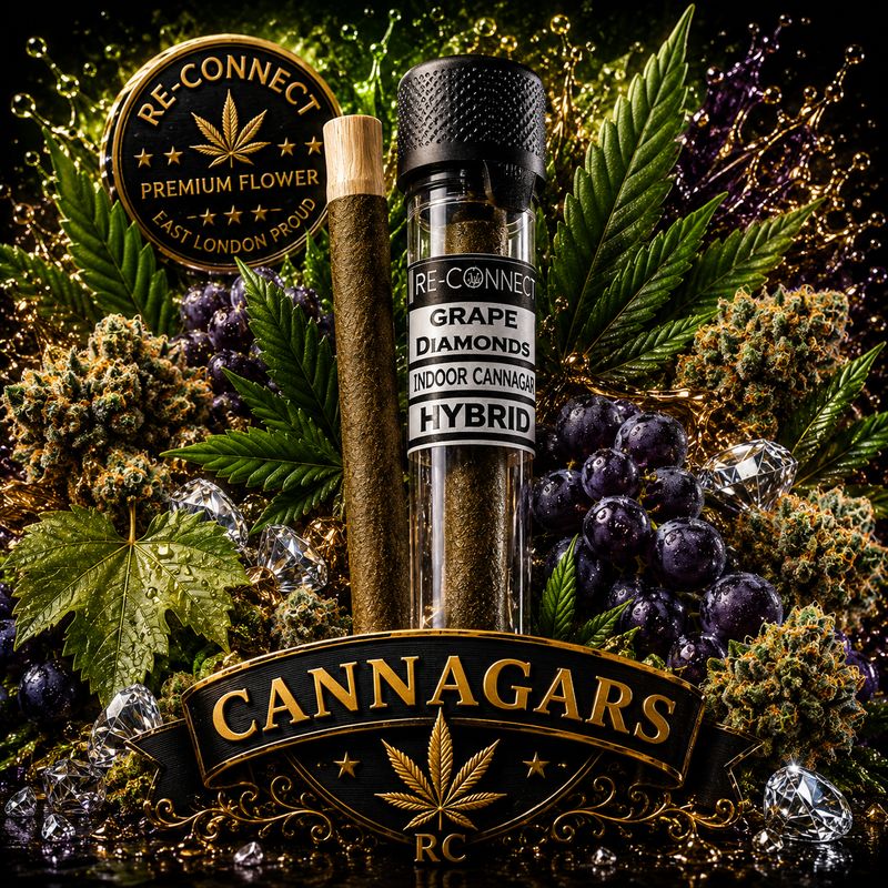 Cannagar x 1 | Grape Diamonds | Indoor