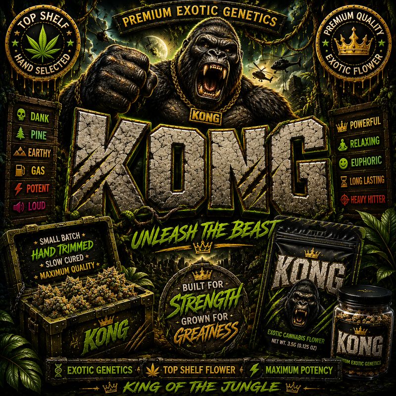 Dog Walker x2 | Kong | Outdoor