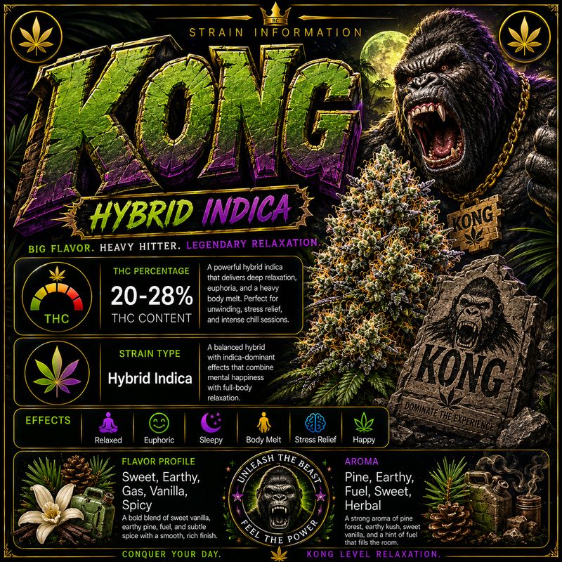 Dog Walker x2 | Kong | Outdoor