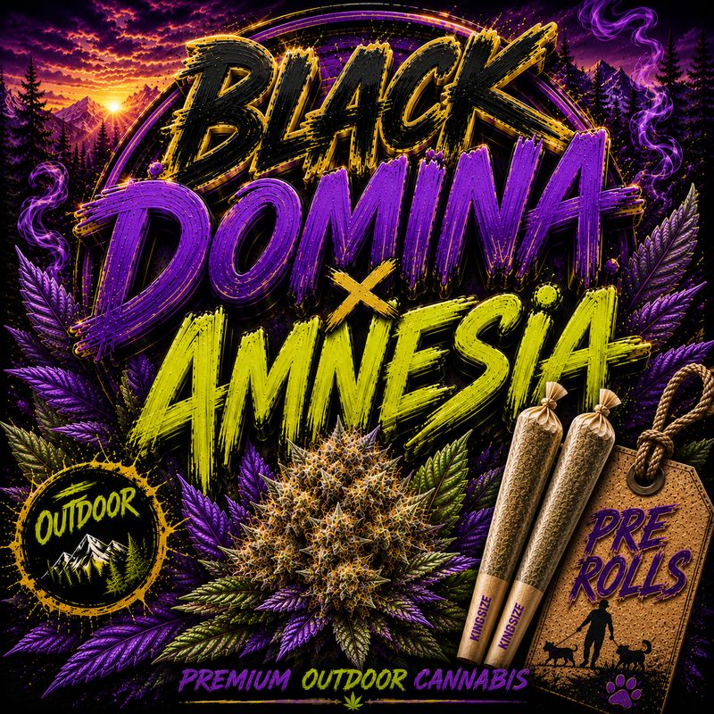 Pre roll x 2 | Black domina x Amnesia | Outdoor
