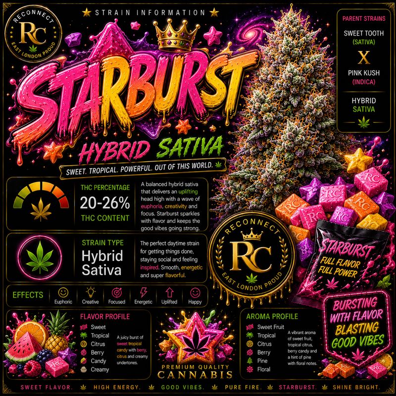 Pre Roll x 1 | Starburst | Indoor