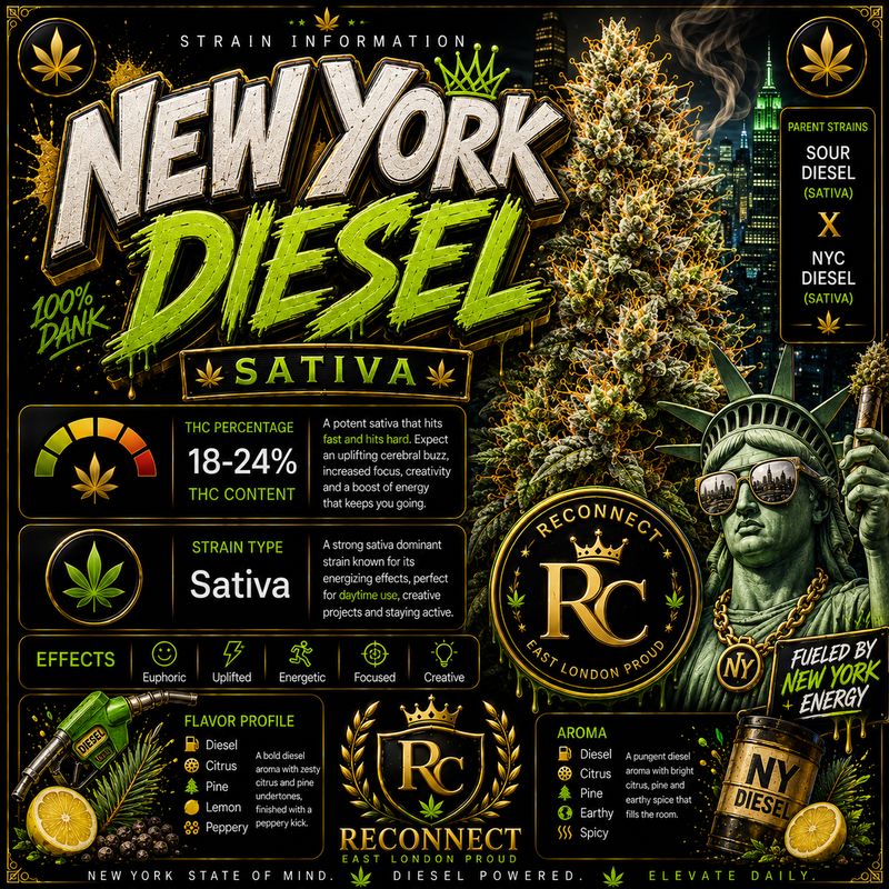 5G Ground | New York Diesel | Outdoor