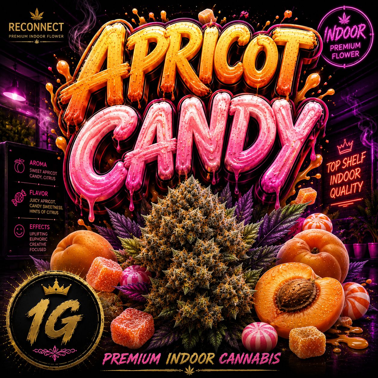 1G | Apricot candy | Indoor