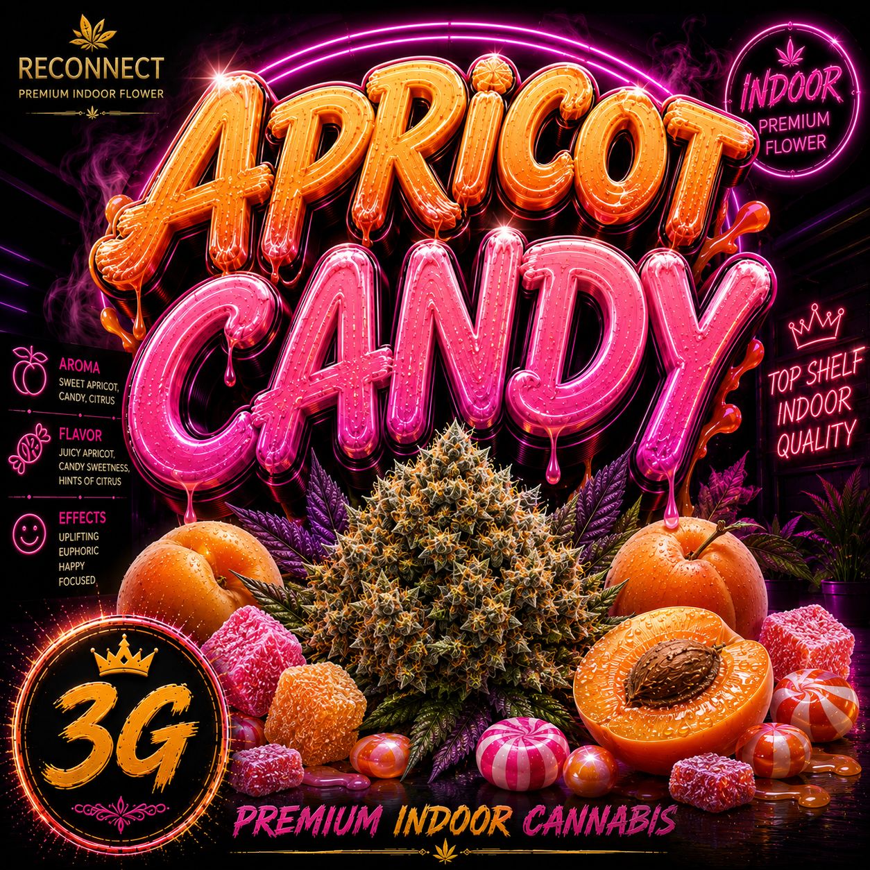 3G | Apricot candy | Indoor
