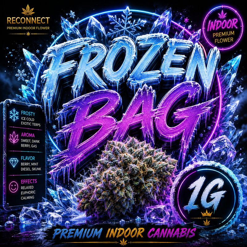 1G | Frozen B.A.G | Indoor