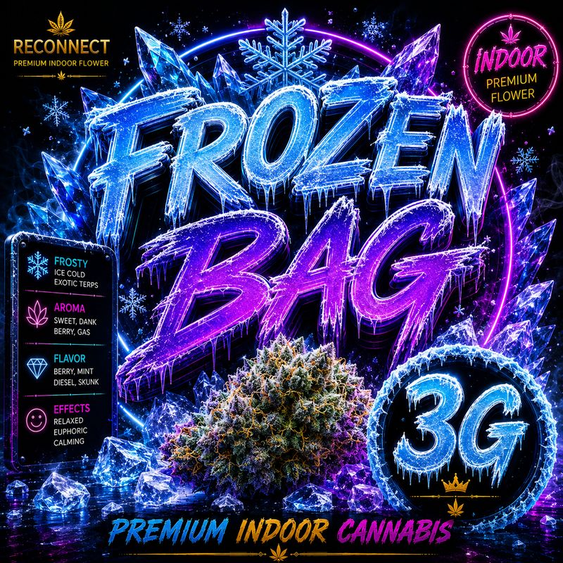 3G | Frozen B.A.G | Indoor