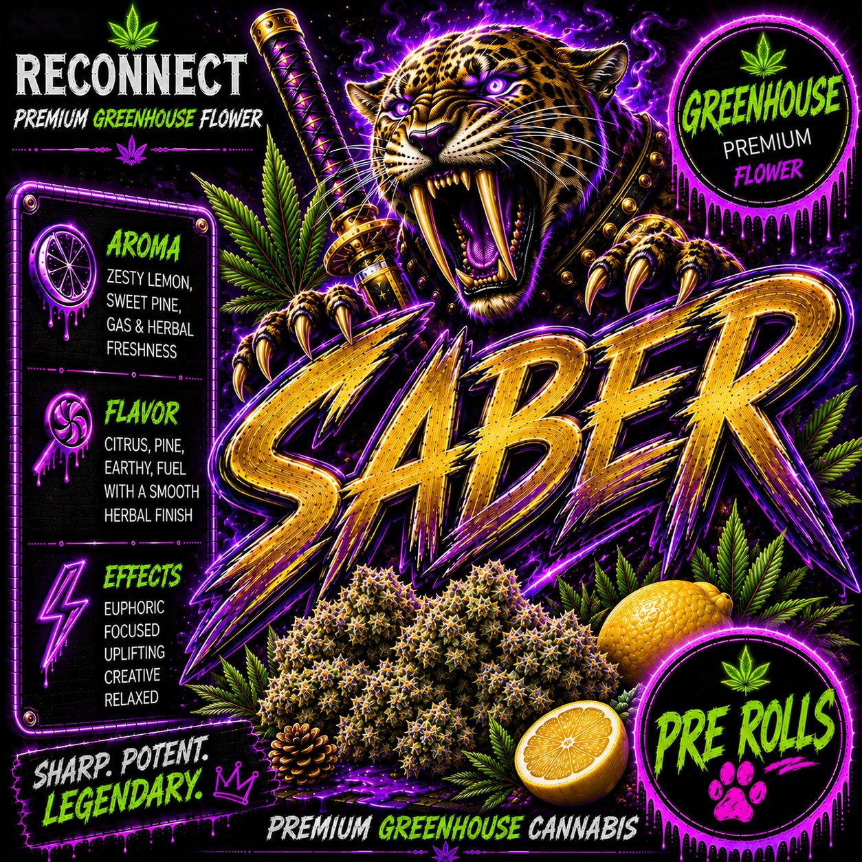 Pre roll x 2 | Saber | Greenhouse