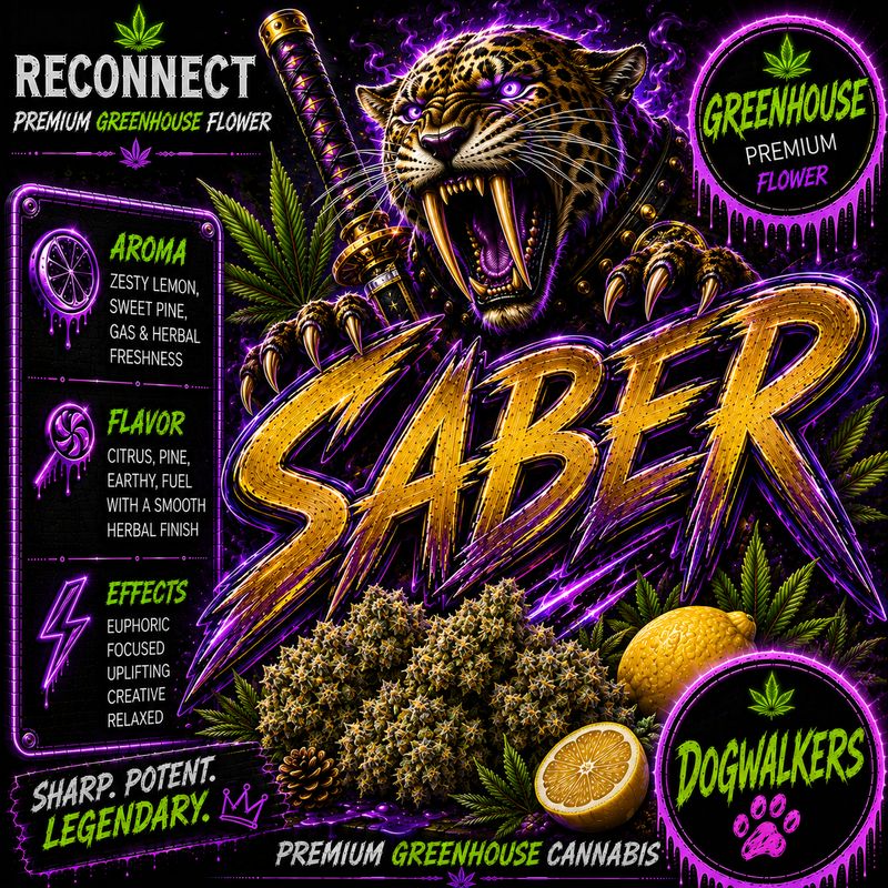 Dog walker x 2 | Saber | Greenhouse