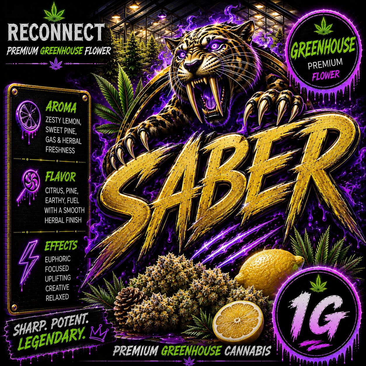1G | Saber | Greenhouse