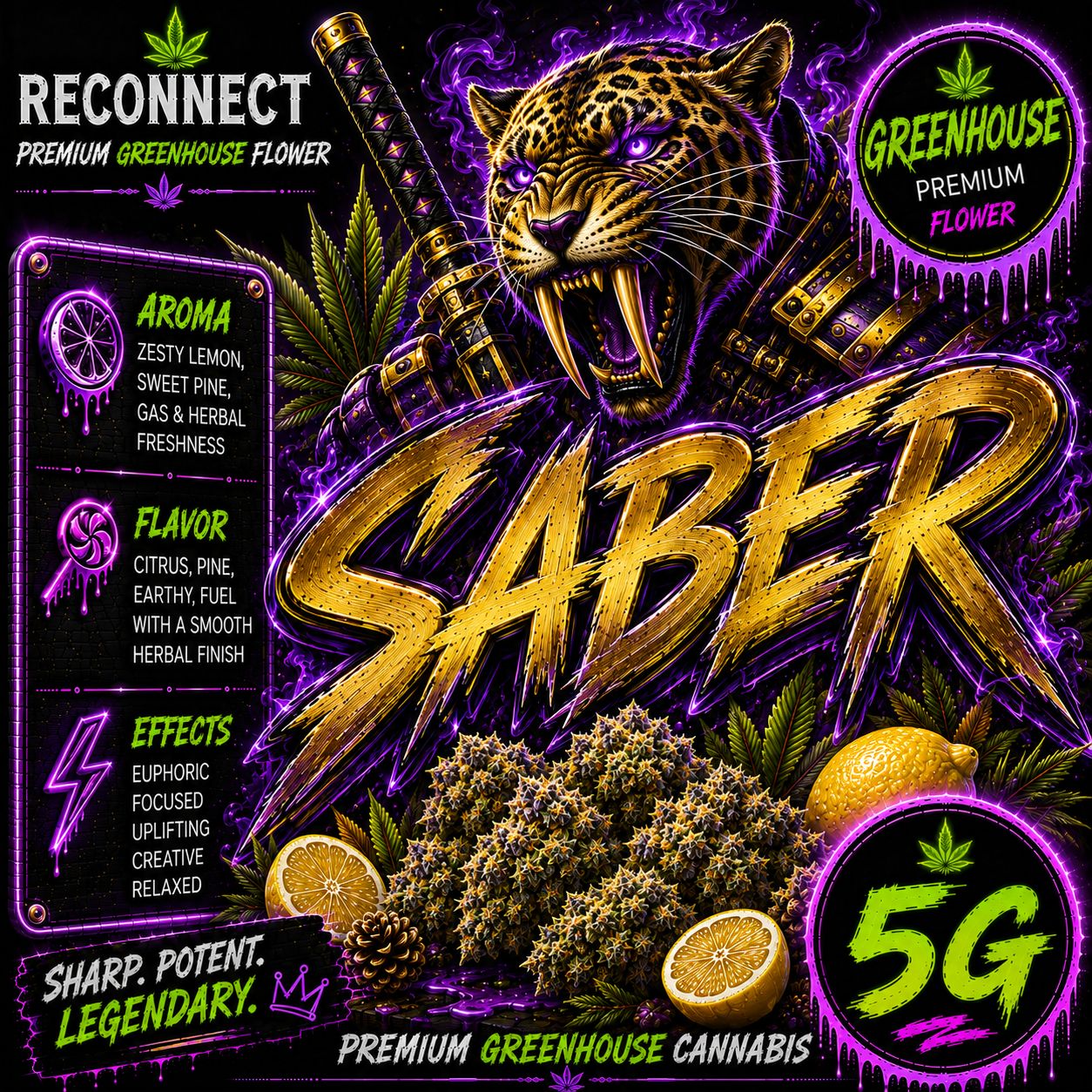 5G | Saber | Greenhouse