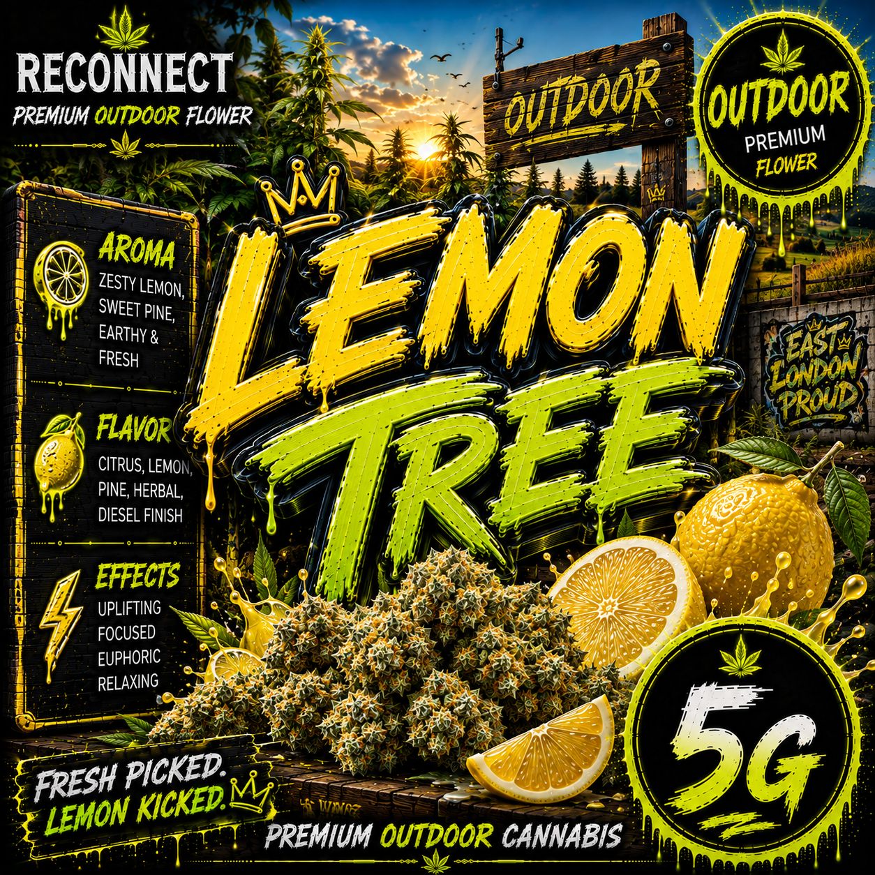 5G | Lemon tree | Outdoor