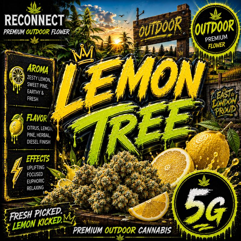 5G | Lemon tree | Outdoor