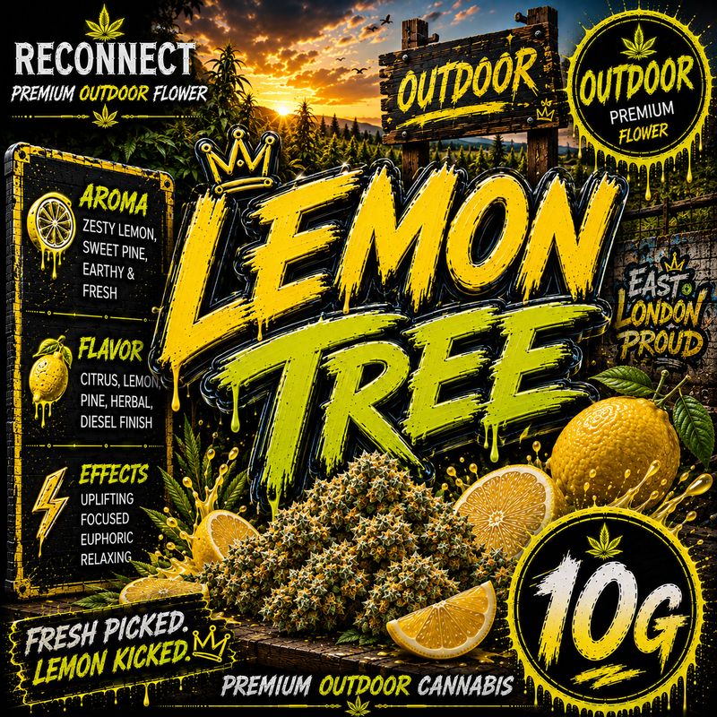 10G | Lemon tree | Outdoor