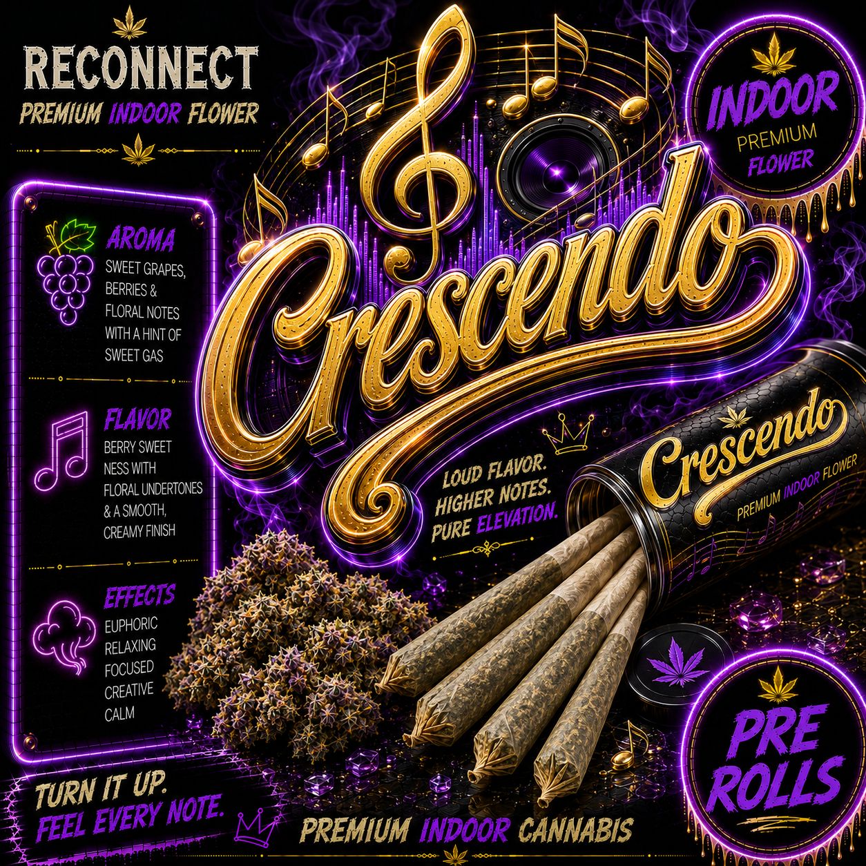 Pre roll x 1 | Crescendo | Indoor