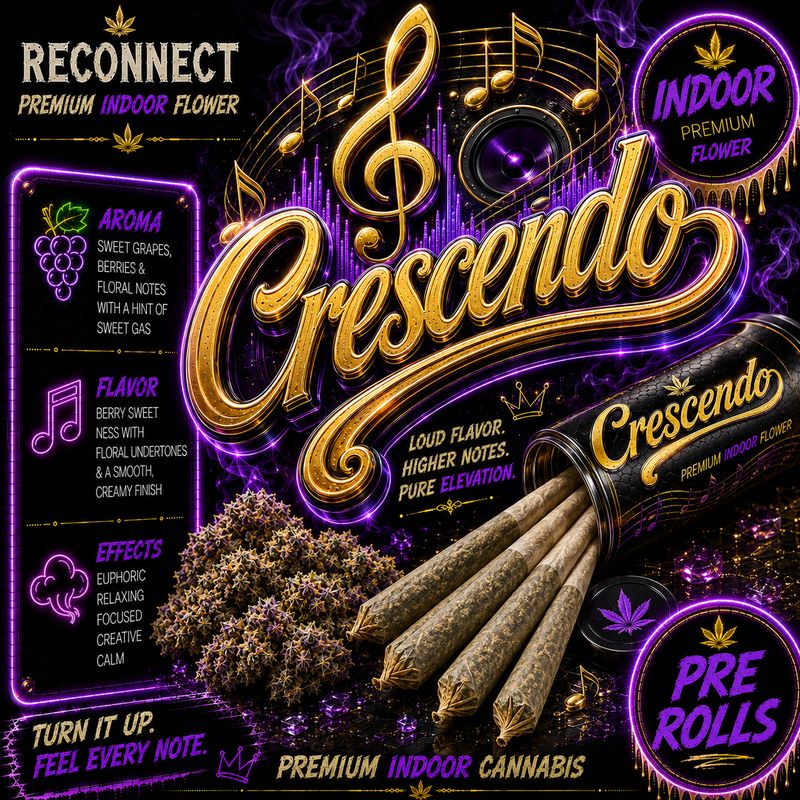 Pre roll x 1 | Crescendo | Indoor
