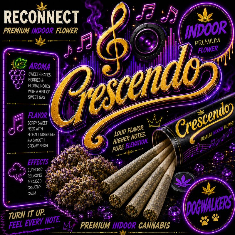 Dog walker x 2 | Crescendo' | Indoor