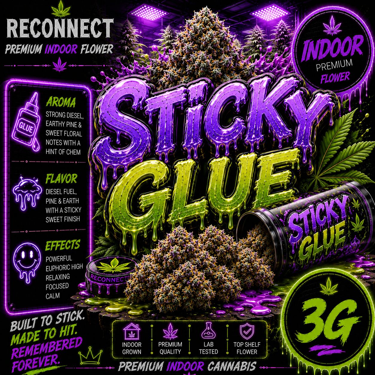3G | Sticky Glue | Indoor