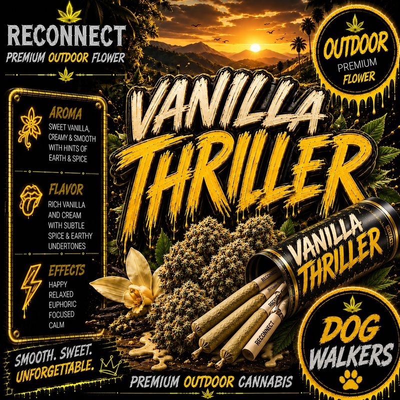 Dog Walker x 2 | Vanilla Thriller | Outdoor