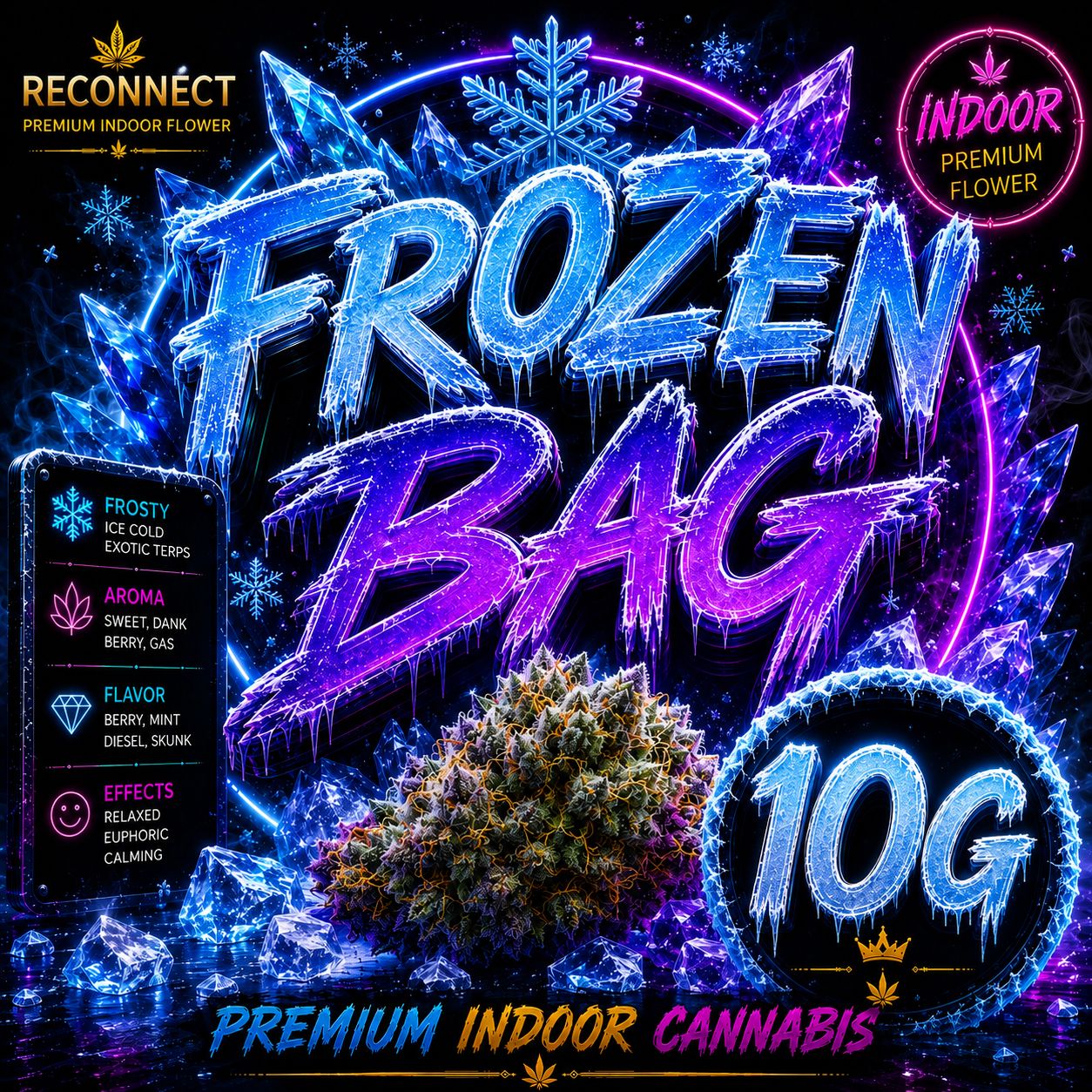 10G | Frozen B.a.g | Indoor