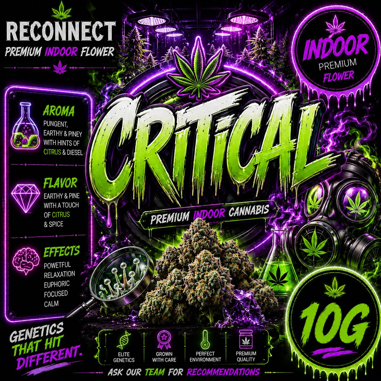 10G | Critical | Indoor