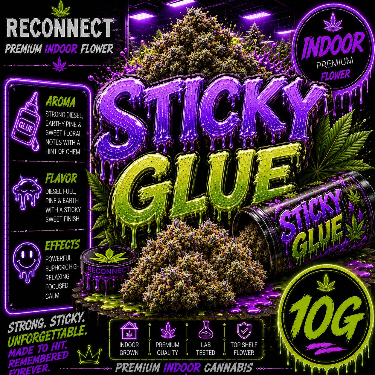 10G | Sticky Glue | Indoor