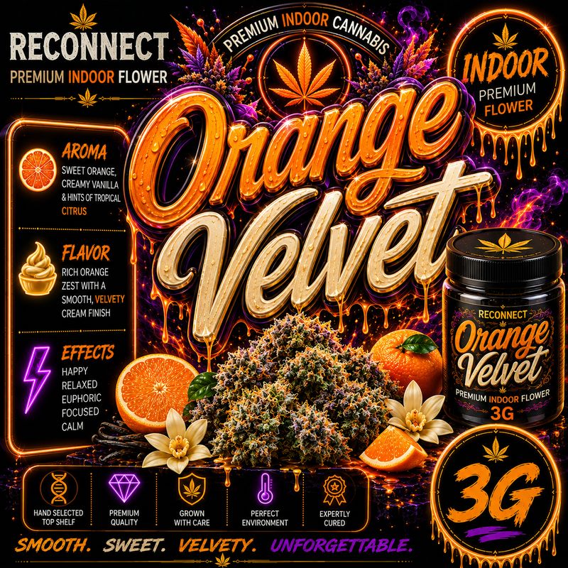 3G | Orange velvet | Indoor