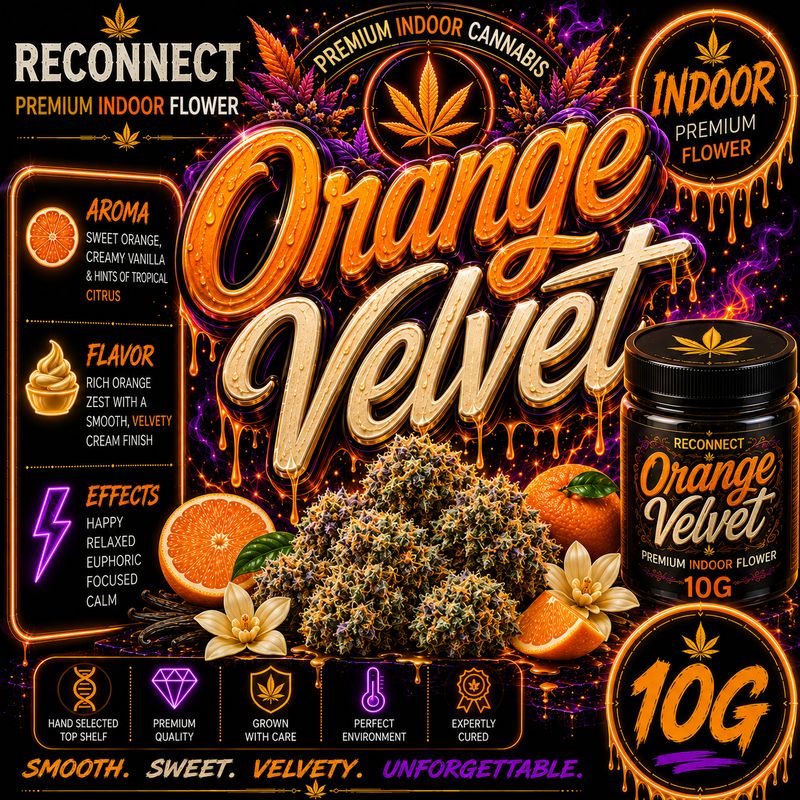 10G | Orange velvet | Indoor