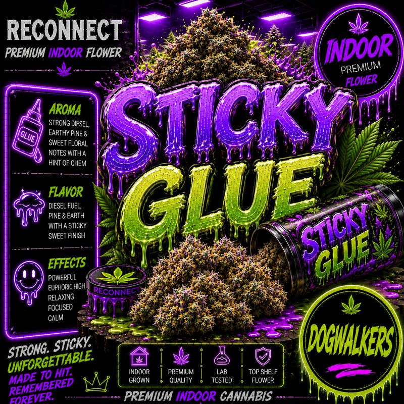 Dog walker x 2 | Sticky glue | Indoor