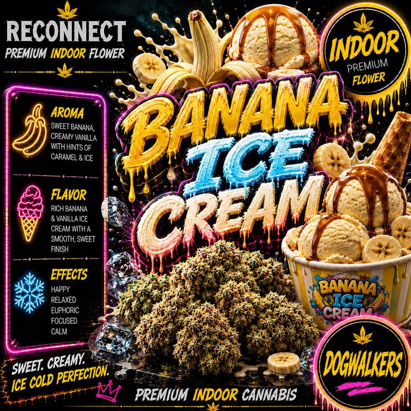 Dog walker x 2 | Banana ice cream | Indoor