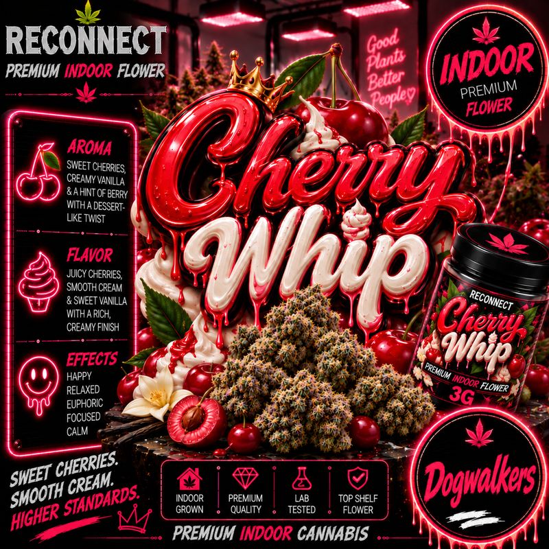 Dog walker x 2 | Cherry whip | Indoor