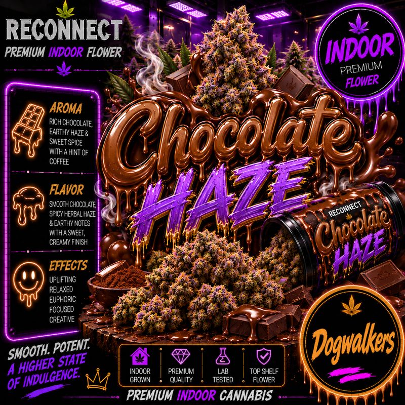 Dog walker x 2 | Chocolate haze | Indoor