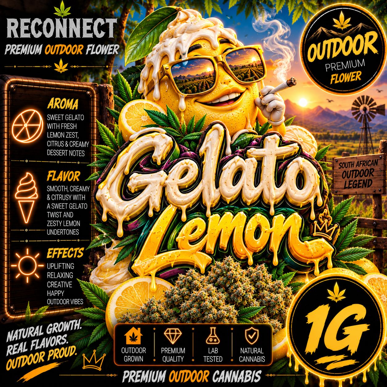 1g | Gelato Lemon | Outdoor