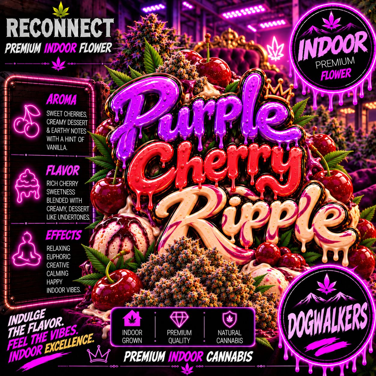 Dog Walker x2 | Purple Cherry Ripple | Indoor