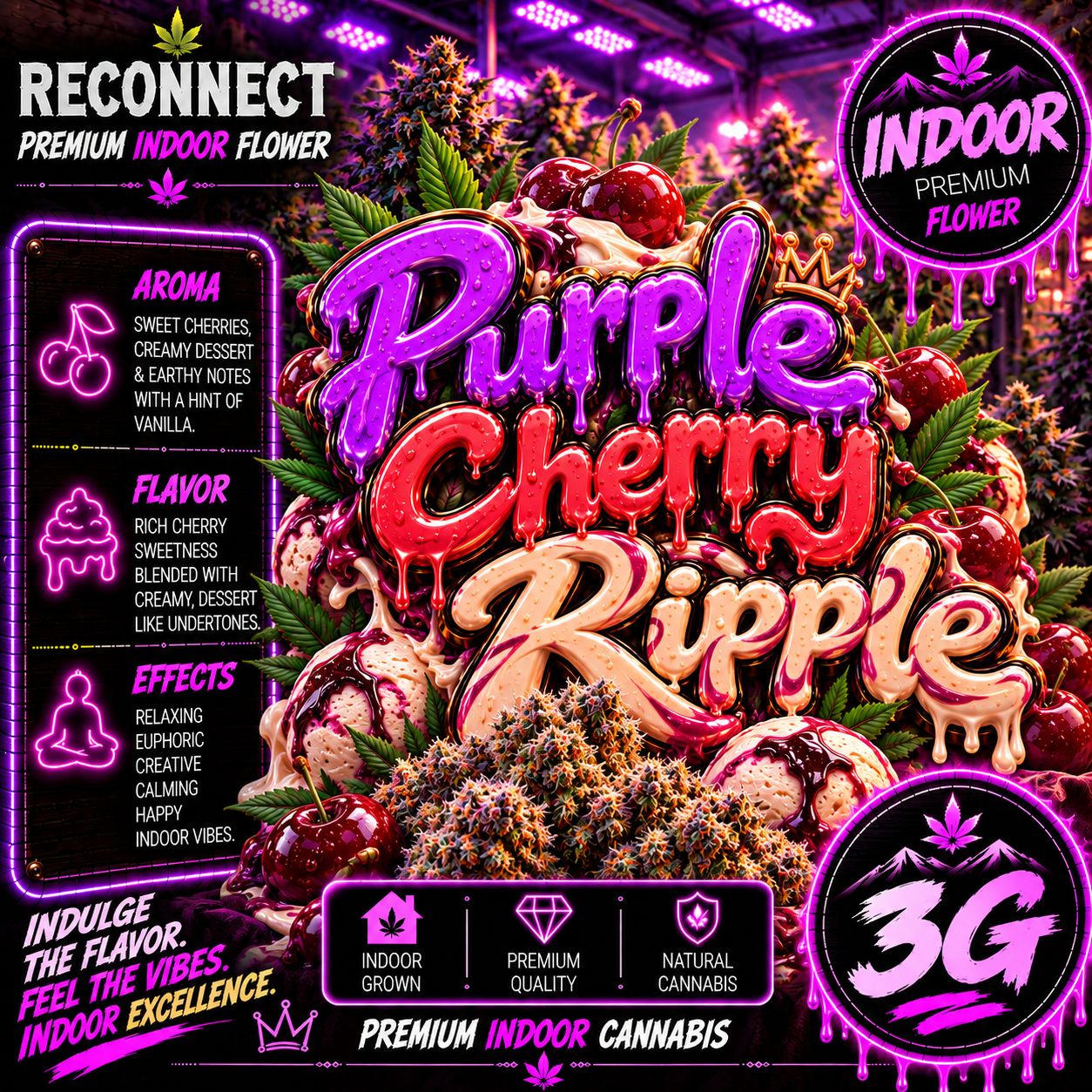 3G | Purple Cherry Ripple | Indoor