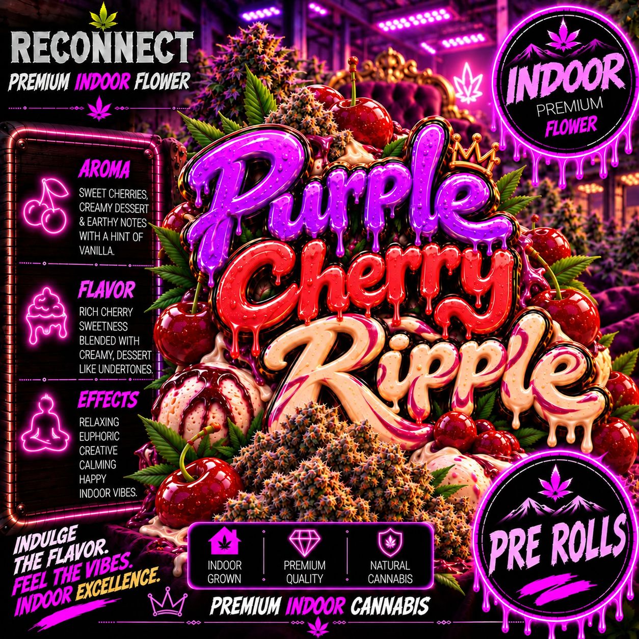 Pre roll x 1 | Purple Cherry Ripple | Indoor
