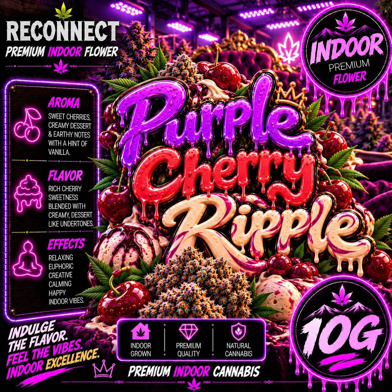 10G | Purple Cherry Ripple | Indoor