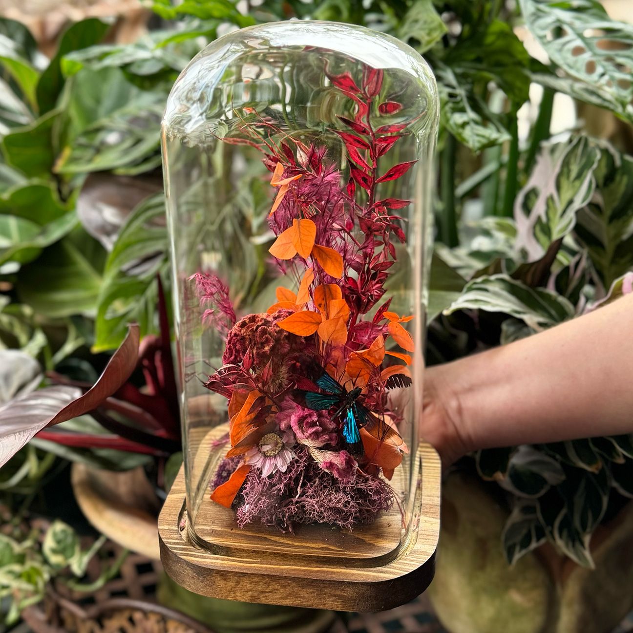Everlasting Terrarium Cloche