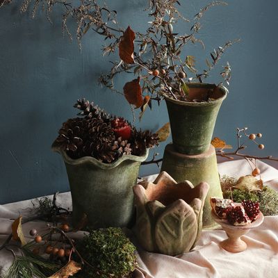 Indoor Plants + Campo de' Fiori Planters