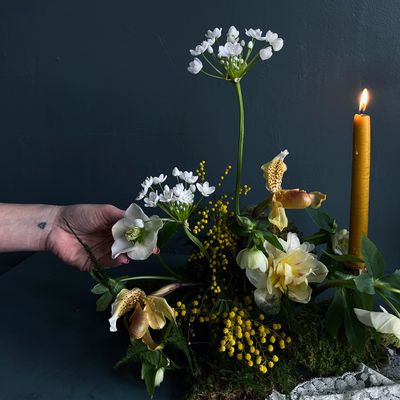 Holiday GIFT SET: For the friend who loves to host