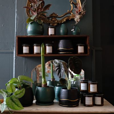 NEW PLANTERS from Made You Look Ceramics