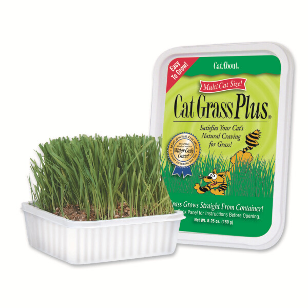 Miracle Care Cat A'Bout Cat Grass Plus - Multi Size 150 g