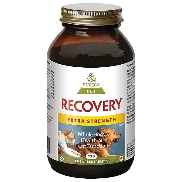 PURICA - Recovery Extra Strength Chewable 120PK