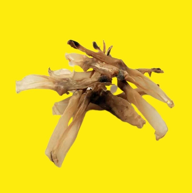 ​NATURAL RABBIT EARS- NO FUR