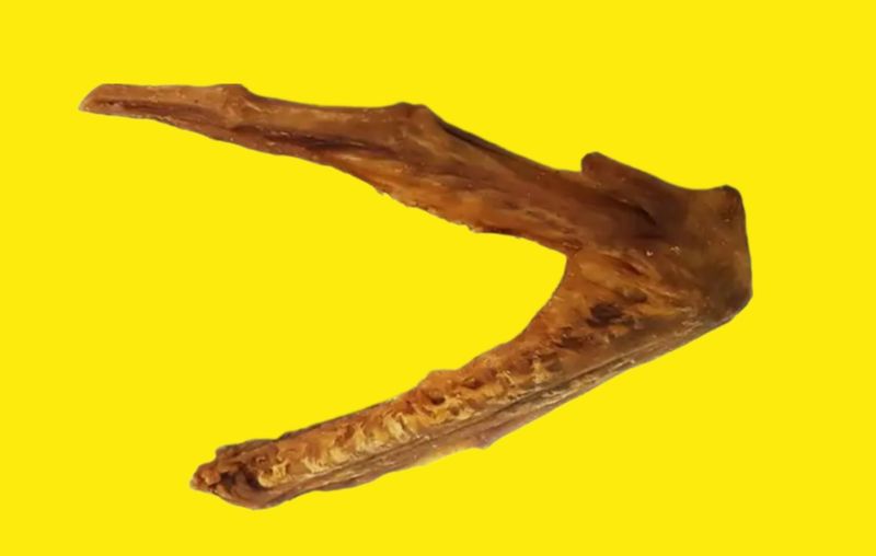 Goose Wing