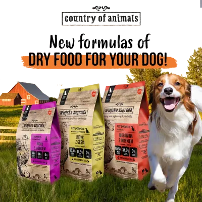Dry dog food- mono protein & others