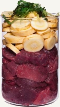 TERRA CANIS- Hypoallergenic- OSTRICH WITH PARSNIP- 800 gr